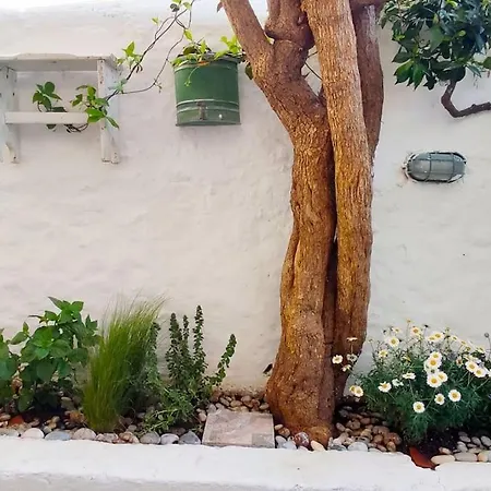 Ferienhaus Town House Near Old Town With Rooftop Jacuzzi *